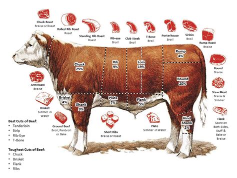 とろとろチャーシュー: なぜ私たちは柔らかい肉に魅了されるのか？